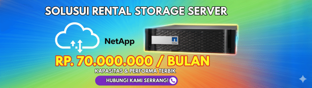 rental storage server sewa NetApp